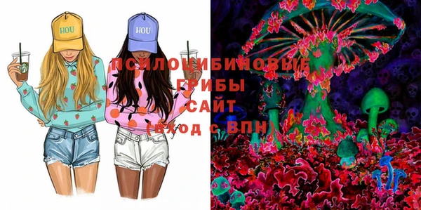ешки Горняк