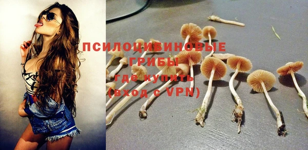 мяу мяу мука Вязники