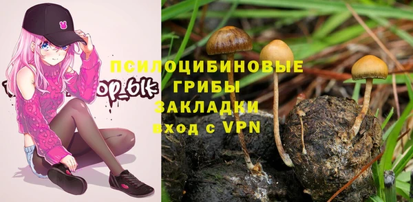 мяу мяу кристалл Вяземский